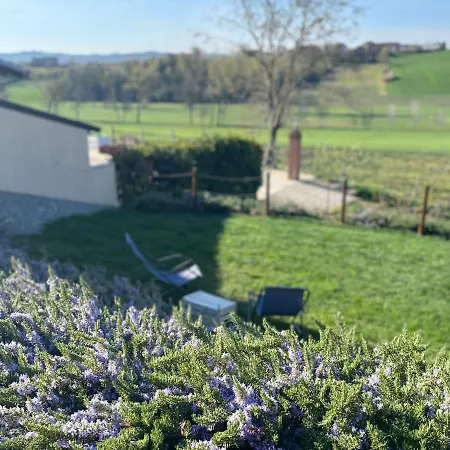 Ca' Dal Bertu - Cascina In Monferrato * Rosignano Monferrato